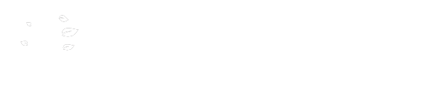 CreativeFuture　website